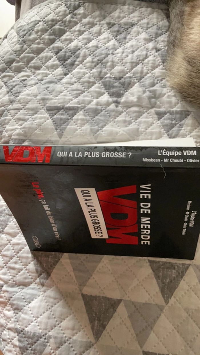 #vie de merde vdm. V - photo numéro 4