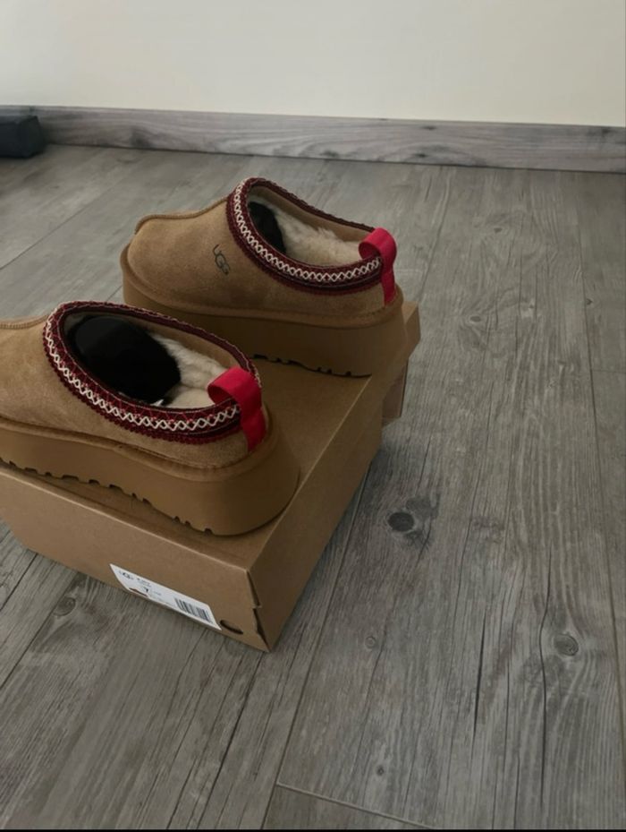 Ugg tazz - photo numéro 3