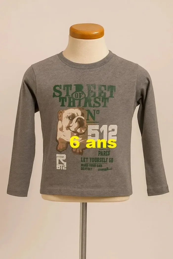 Tee shirt manche longue gris motif multicolore RG 512 Taille 6 ans