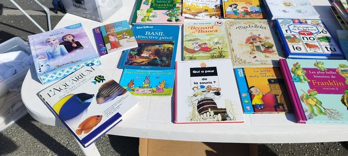 Lot de livres - photo numéro 2