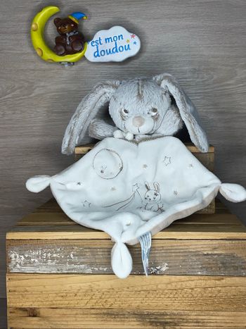 NIC535 doudou lapin 🐰 nicotoy