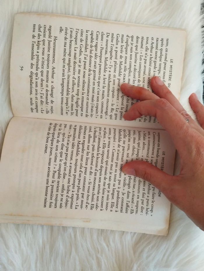 📖Le mystère du cabanon 📖 - photo numéro 3