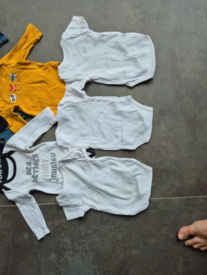 Lot bodies 3 mois - photo numéro 9