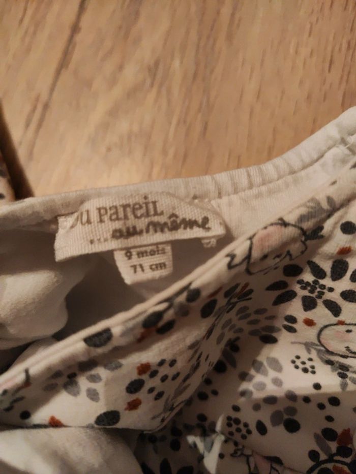 Ensemble DPAM oiseau - photo numéro 5