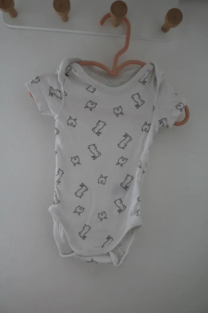 Lot bodies été fille Tex 3 mois - photo numéro 2
