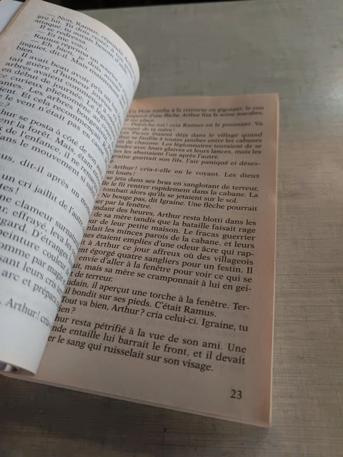 Livre le roi Arthur - photo numéro 4