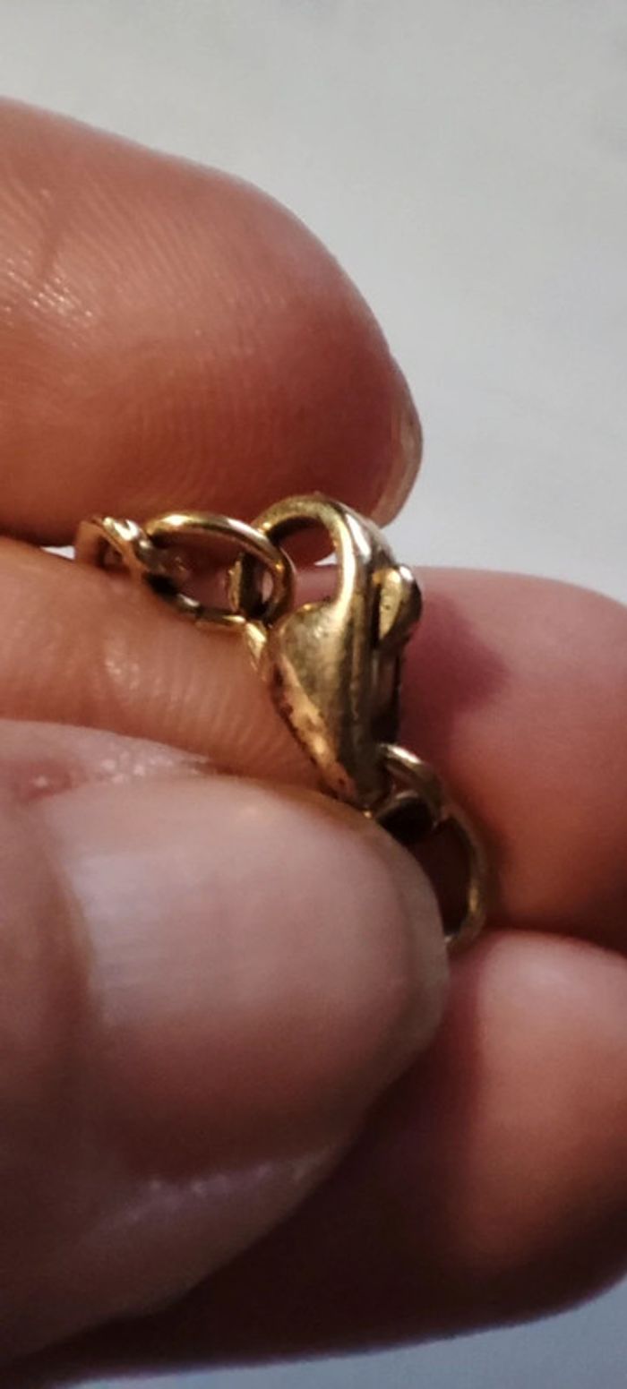 Chaine - photo numéro 4