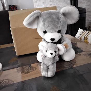 Maman souris et son bébé peluche