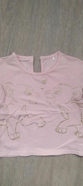 💮🌸 t-shirt roi lion 🌸💮