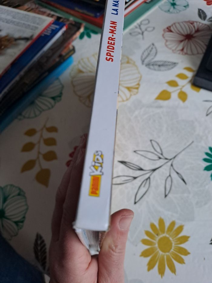 Spiderman la naissance d un héros - photo numéro 3