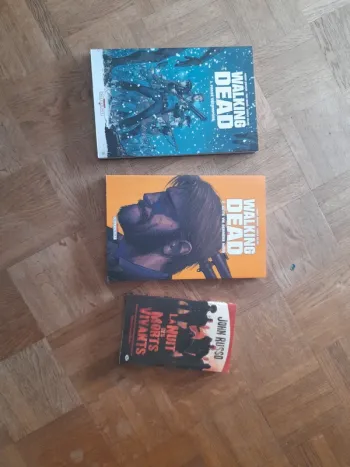Lot zombies Walking dead + nuit des morts vivants