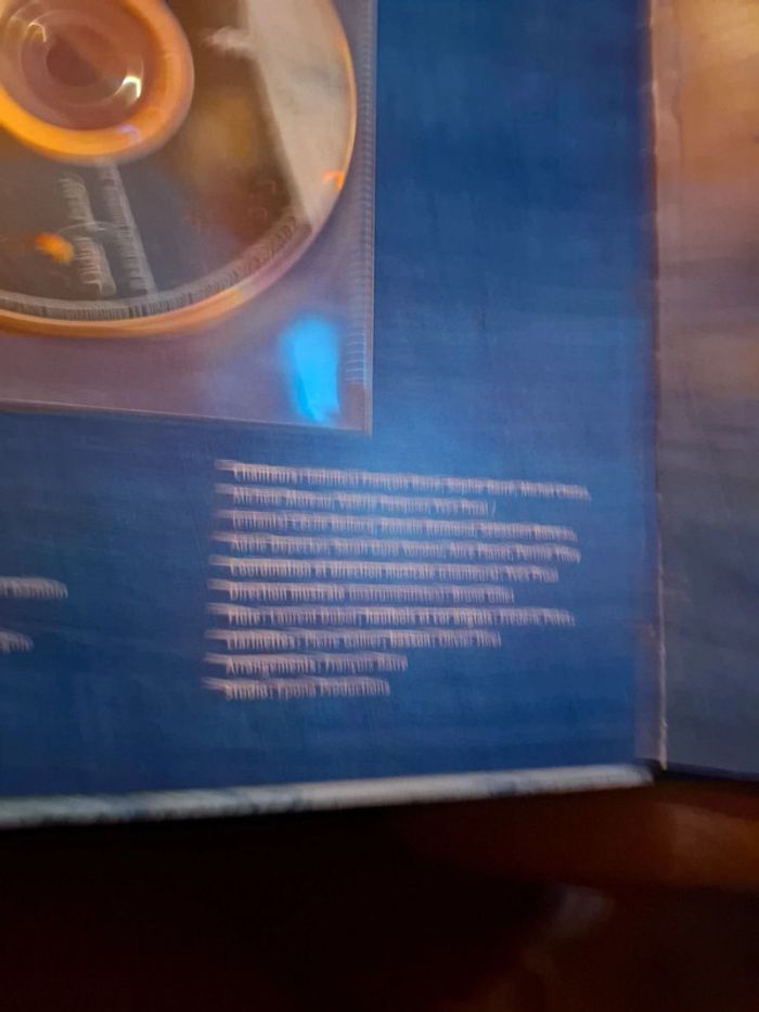 Le manège de la neige - photo numéro 6