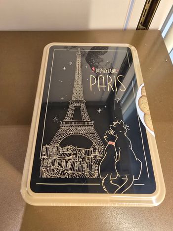 Boite a gateau aristochat