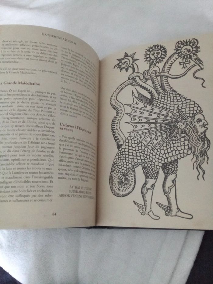 Le livre noir de la sorcière invoquer les demons7 - photo numéro 9