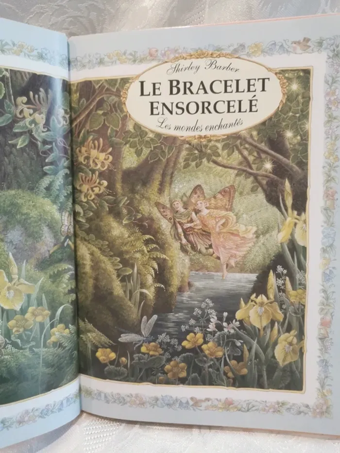 Livre Le Bracelet ensorcelé – conte féerique - photo numéro 2