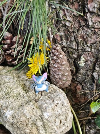 Super figurine Pokemon Nintendo tomy chaffreux 