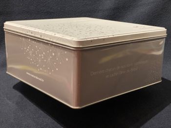 Boîte en métal Natura argenté /blanc