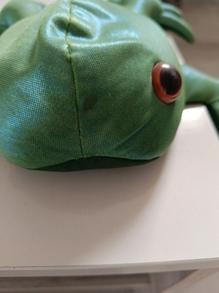 Grenouille sable - photo numéro 3