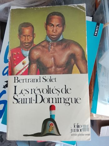 Les révoltés de Saint-Domingue. Bertrand Solet