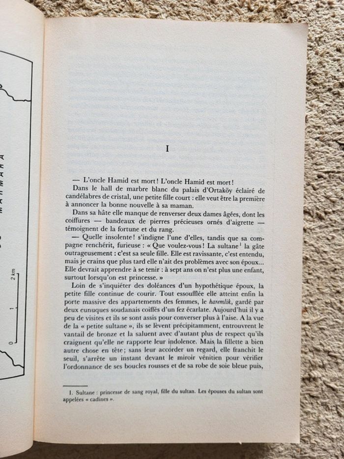 Livre "De la part de la princesse morte " de Kenizé Mourad - photo numéro 7