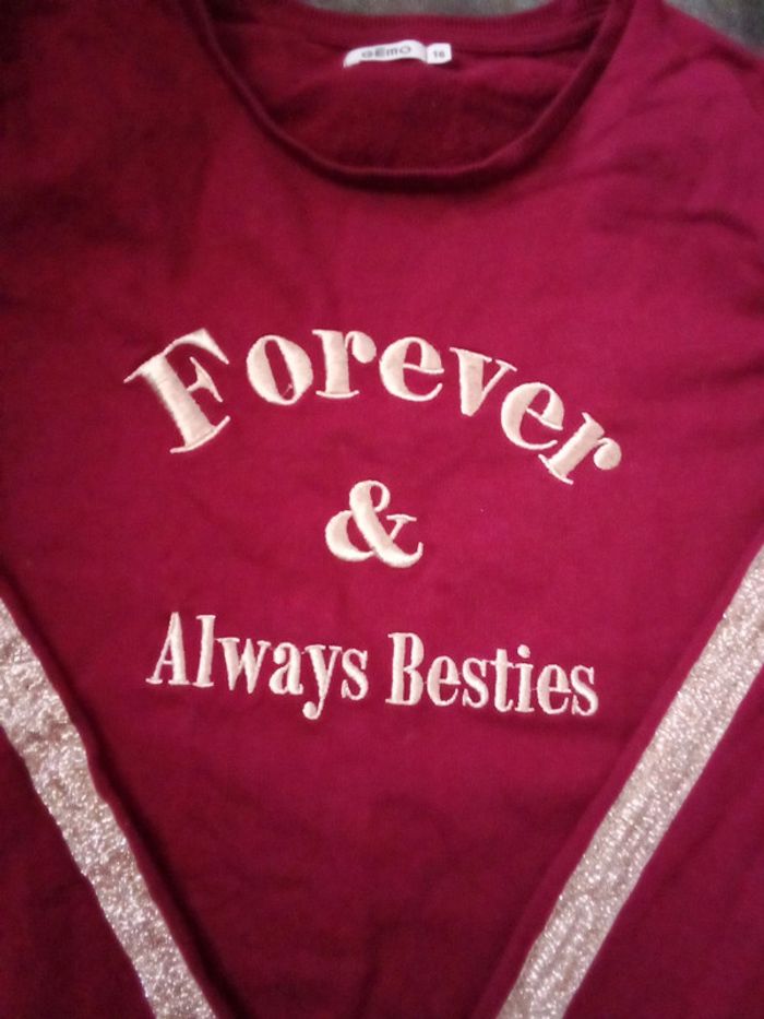 Pull gemo - photo numéro 2