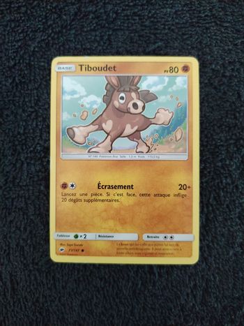 Carte Pokemon Tiboudet