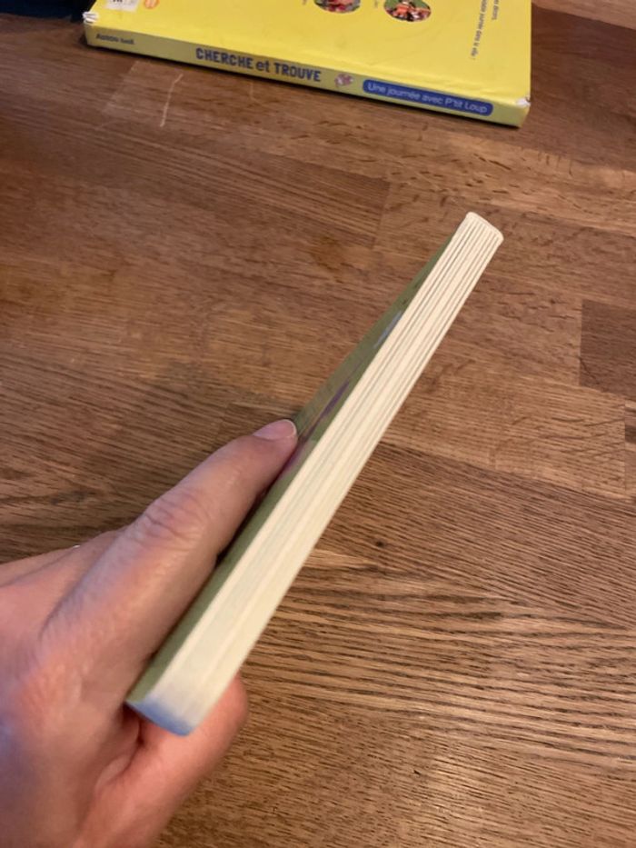 Livre cartonné P’tit Loup aimé sa nounou - photo numéro 6