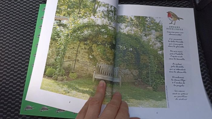 livre cahier de nature francis ambrois - photo numéro 6