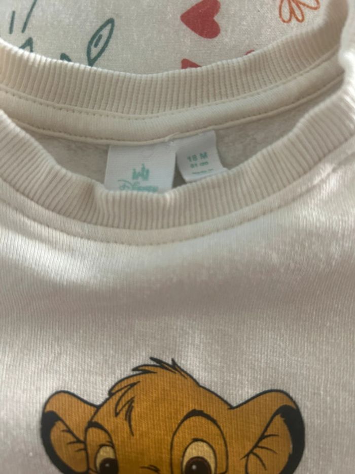 Pull roi lion - photo numéro 3