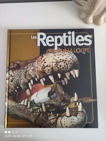 Les reptiles à la loupe