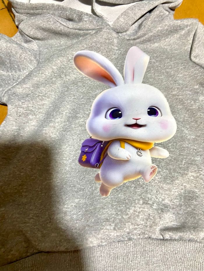 Ensemble couleur gris motif lapin taille 2/3 ans - photo numéro 4