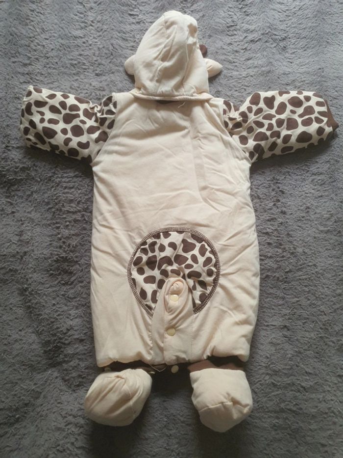 Combi pilote - photo numéro 2