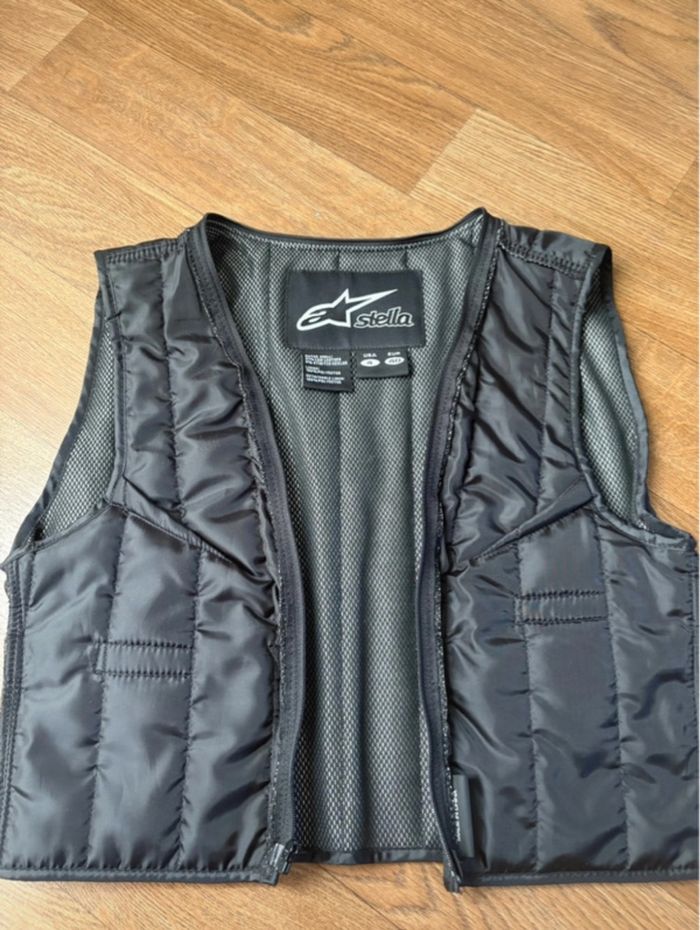 Blouson moto cuir Alpinestar - photo numéro 6