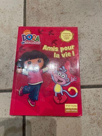 Livre enfant Dora Amis pour la vie