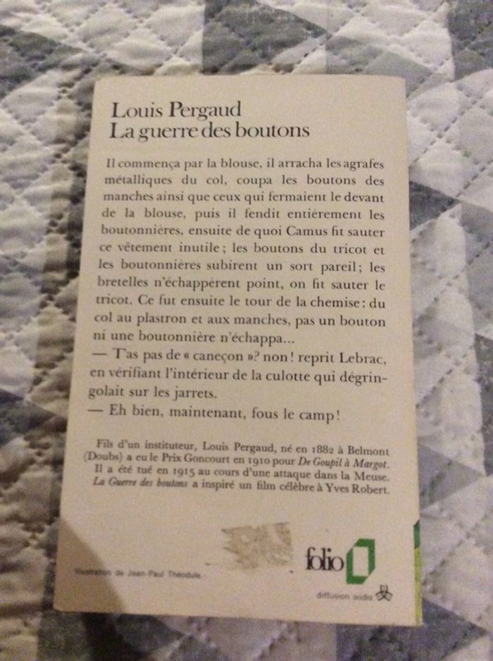 #la guerre des boutons Pergaud - photo numéro 4