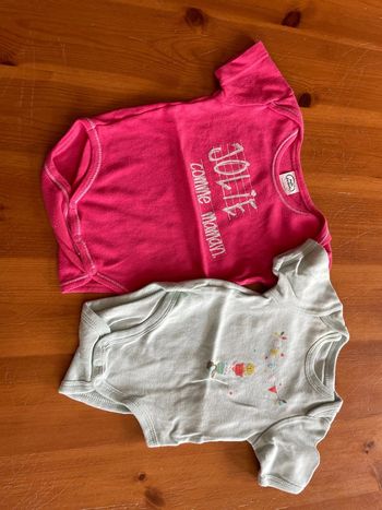 Lot de 2 bodies manches courtes