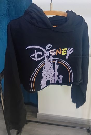 Sweat à capuche pull court château Disney croc top large manches longues