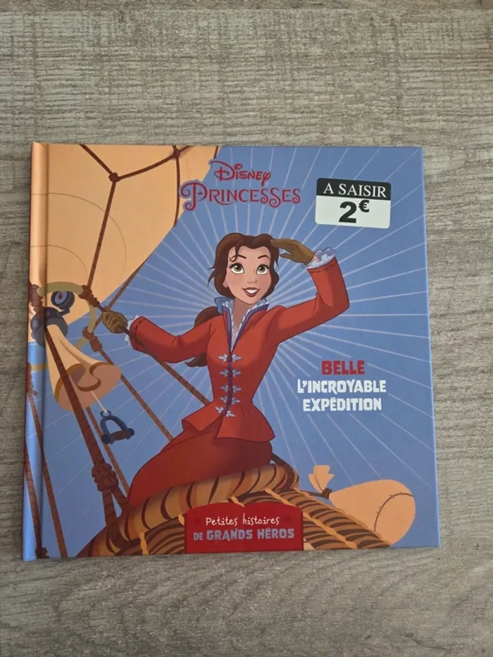 Livre princesses disney