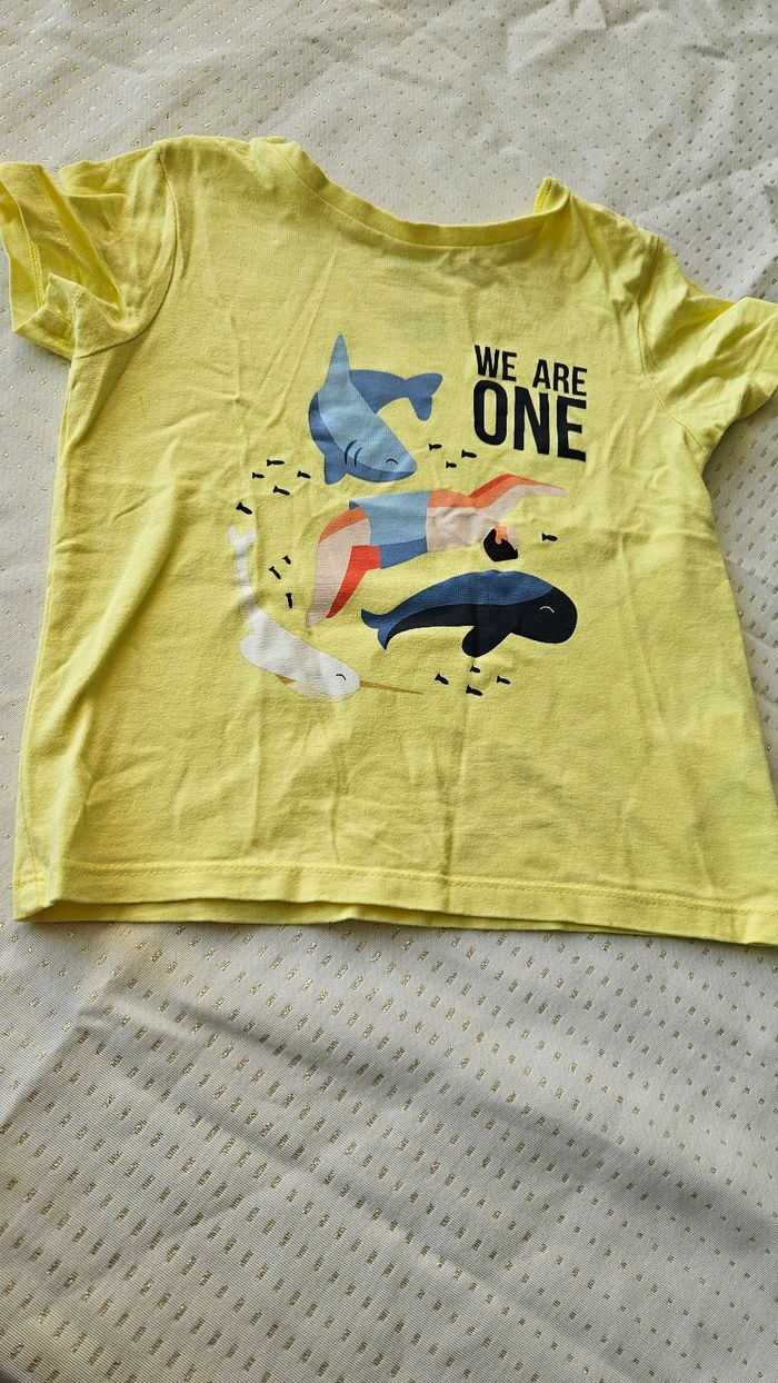 Tee-shirt poisson