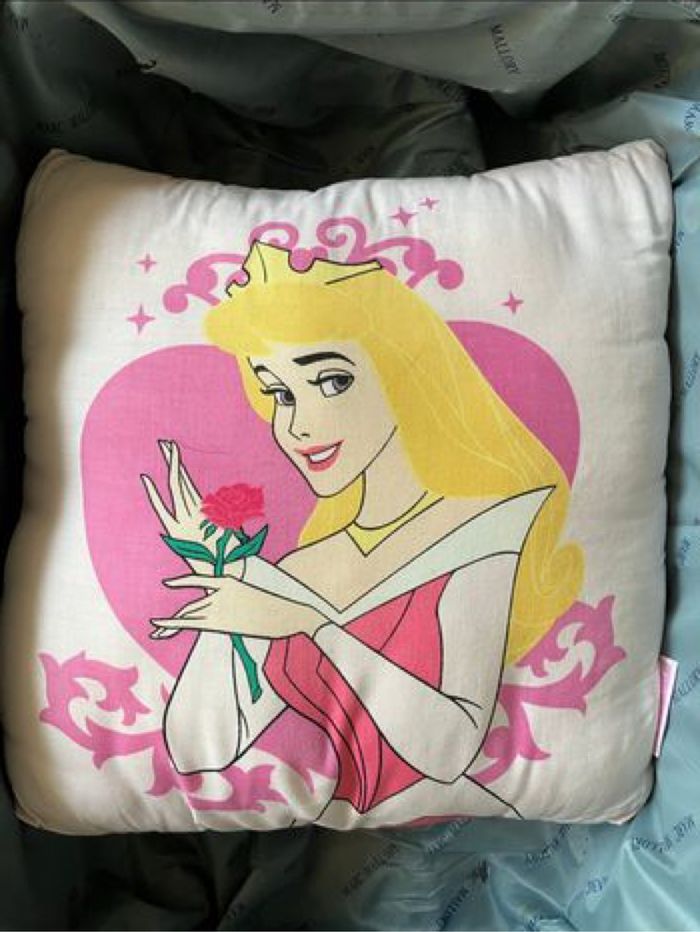 Coussin princesse Disney