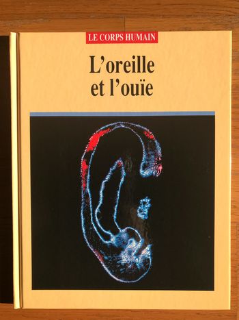 L’oreille et l’ouïe - Collection « Le corps humain »