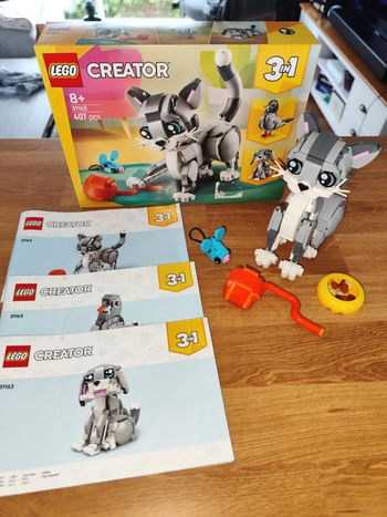 Lego Creator 31163 , complet , excellent état