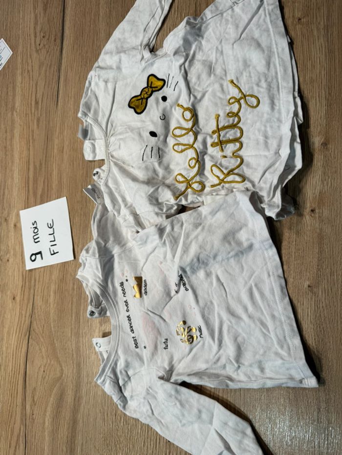 Lot 2 t shirts manches courtes fille