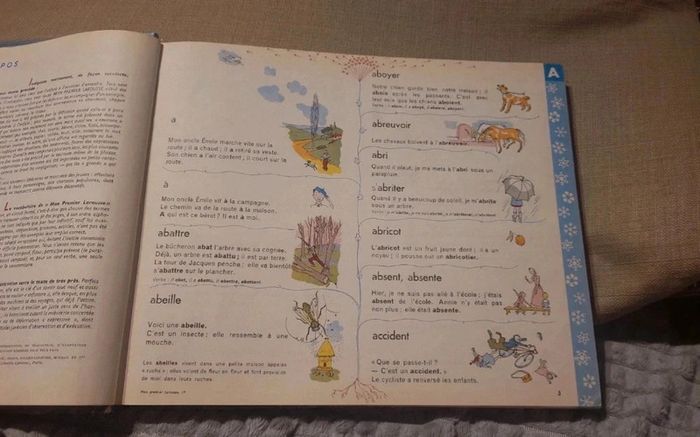 Mon premier larousse en couleurs - photo numéro 2
