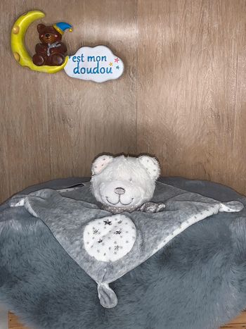 TEX31 doudou ours 🐻 tex