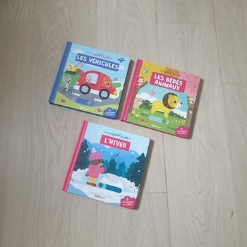 ⭐ Lot de 3 livres Mon anim'agier #emyfleury_livres