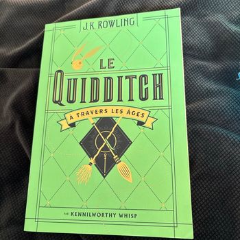 Livre le quidditch à travers les âges