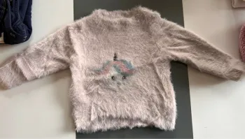 Pull Licorne