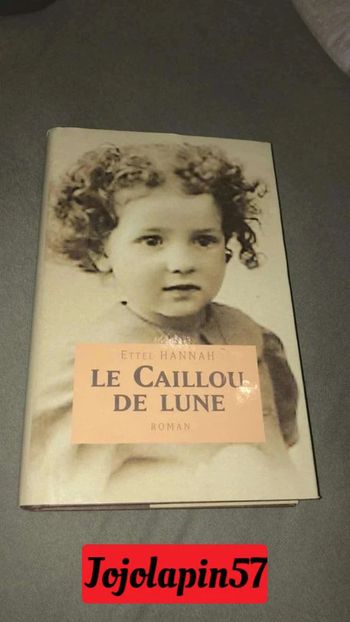 Livre Le caillou de lune