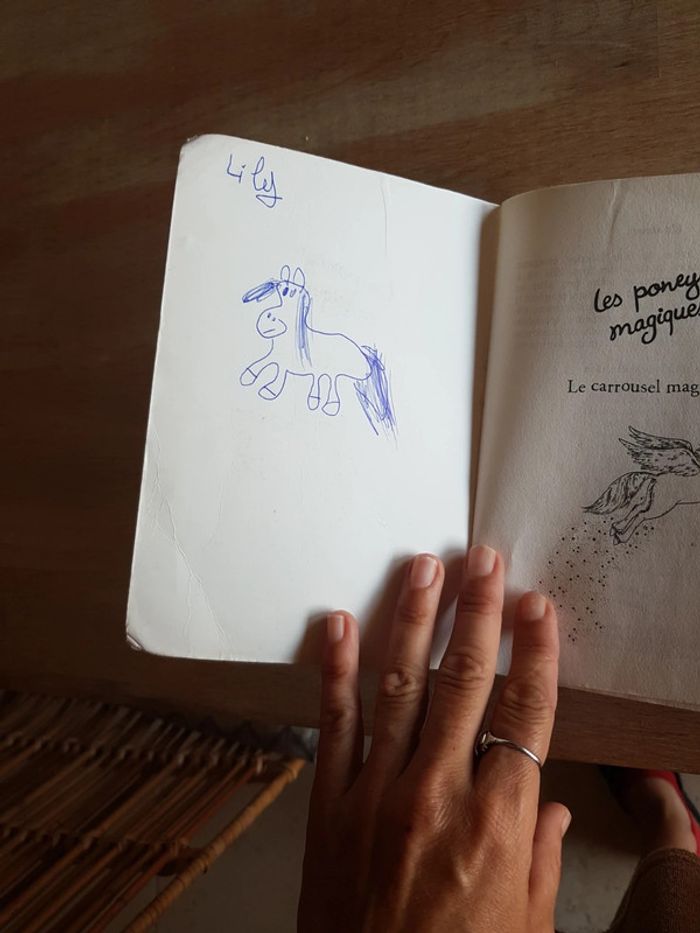 Le carrousel magique - Sue Bentley - photo numéro 5